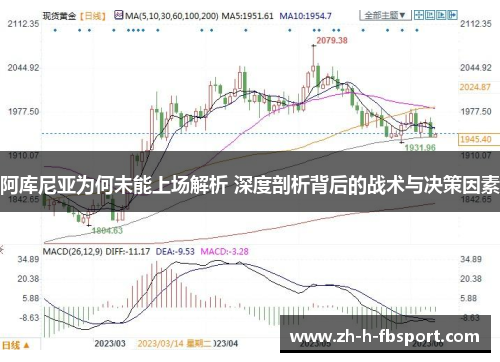 阿库尼亚为何未能上场解析 深度剖析背后的战术与决策因素